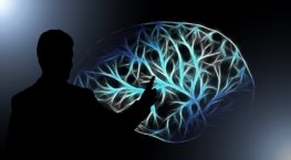intelligence artificielle chimpanzé